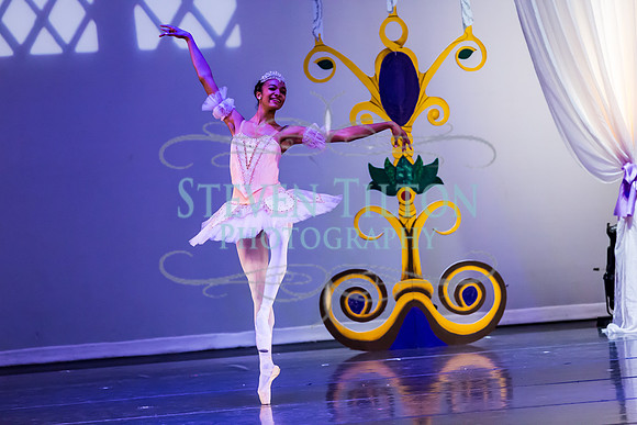DDI - A Winter Gala