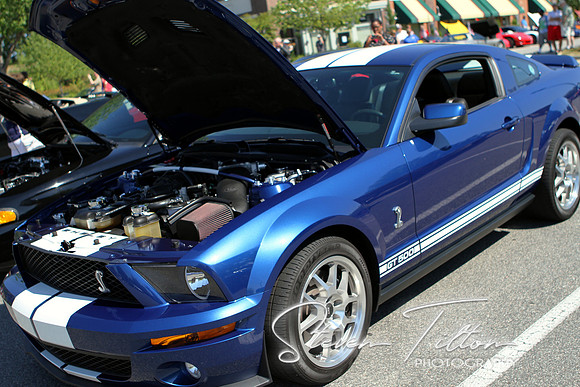 Shelby GT 500