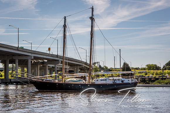 Wilmington River Cruise
