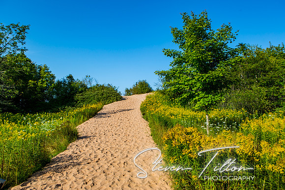 Log Slide Overlook