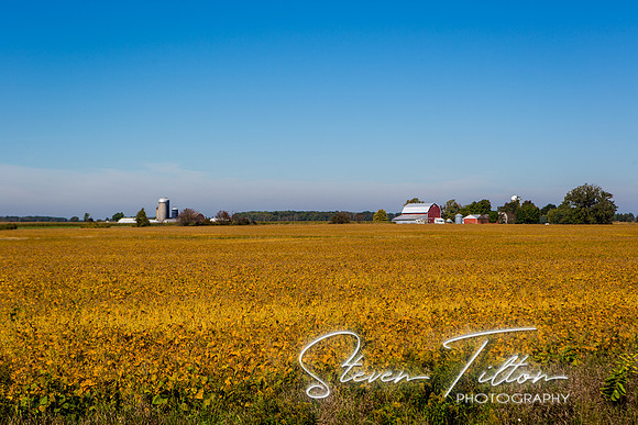 Michigan Landscape