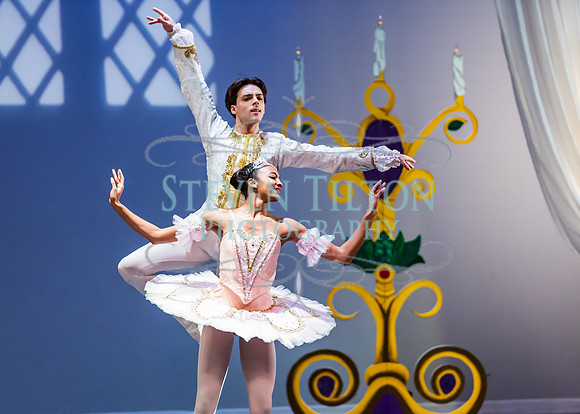 DDI - A Winter Gala