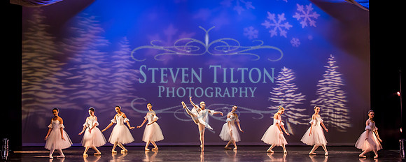 Destiny Winter Gala 2013