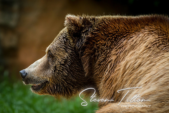 Asheboro Zoo