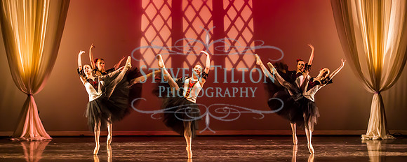 Destiny Winter Gala 2013