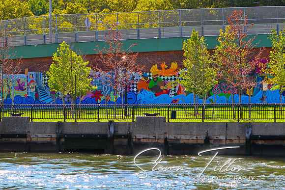 Queens Revitalization