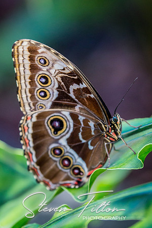 Indianapolis Zoo
