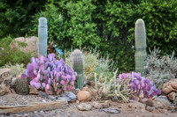 Paradise City, Arizona