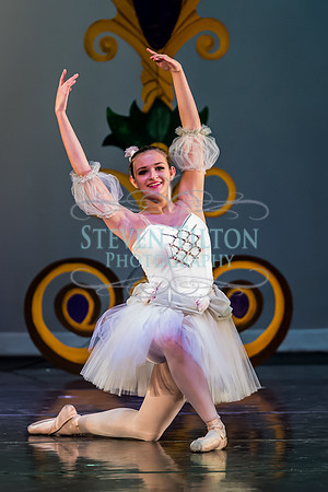 DDI - A Winter Gala