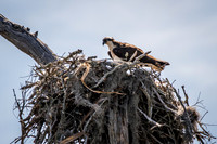 Wilmington River Cruise