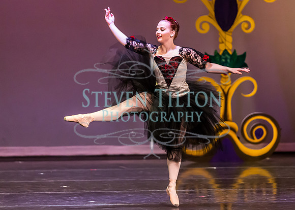 DDI - A Winter Gala