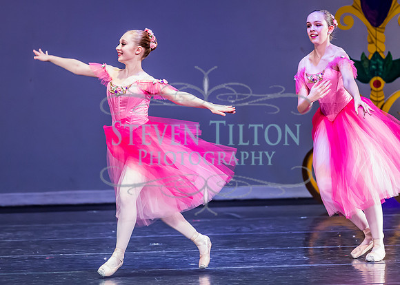 DDI - A Winter Gala