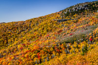 Mountain Foilage