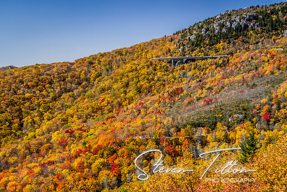 Mountain Foilage