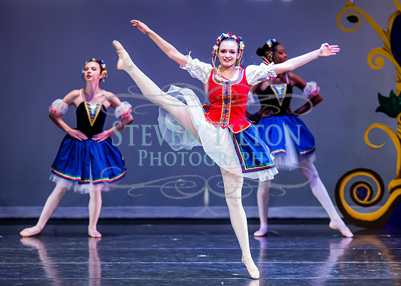 DDI - A Winter Gala