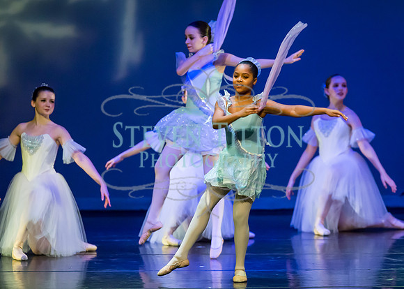 DDI Winter Gala III