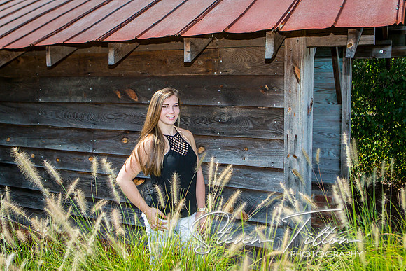 Senior Portraits