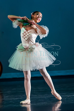 DDI - A Winter Gala