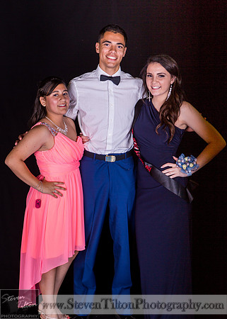 WFHS 2014 Military Ball