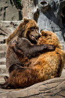 Indianapolis Zoo