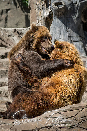 Indianapolis Zoo