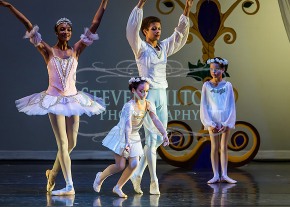 DDI Winter Gala III