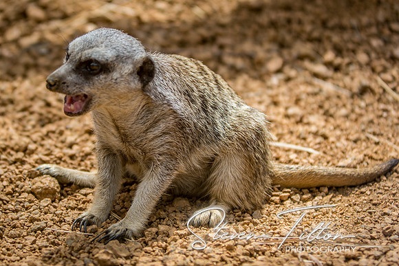 Indianapolis Zoo