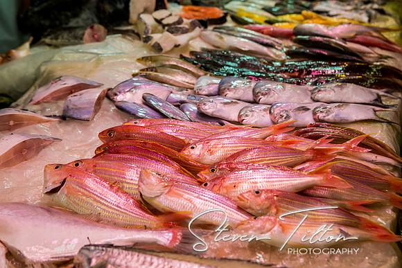 Hong Kong Travels