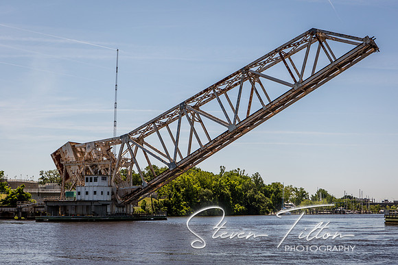 Wilmington River Cruise
