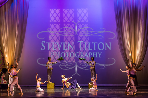 Destiny Winter Gala 2013