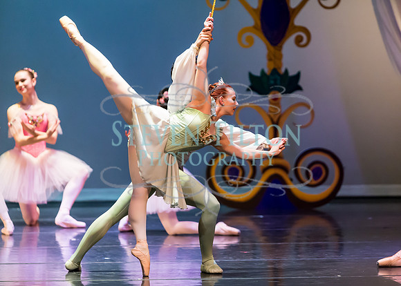 DDI - A Winter Gala