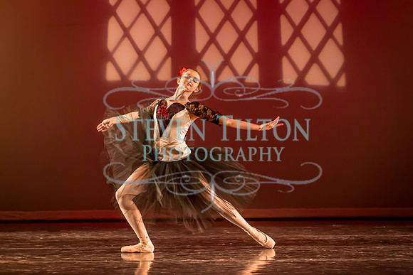 Destiny Winter Gala 2013