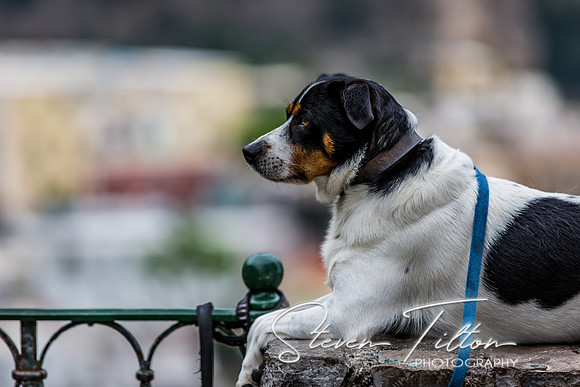Amalfi Coast Overviews