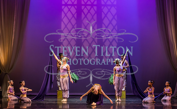 Destiny Winter Gala 2013