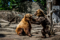 Indianapolis Zoo