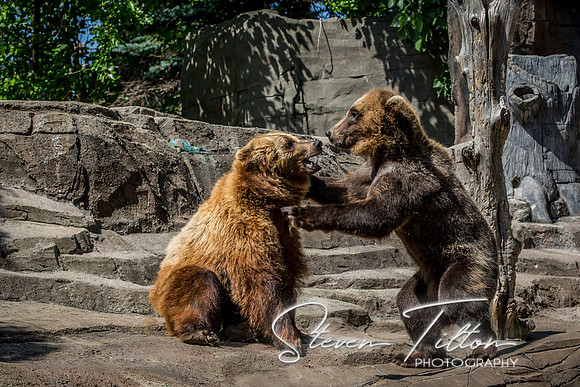 Indianapolis Zoo