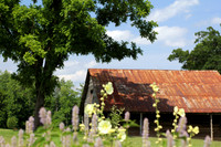 Rustic Barn