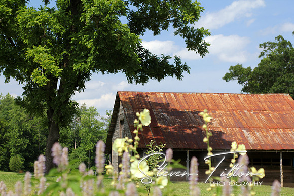 Rustic Barn