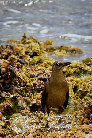Cozumel Mexico