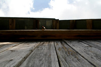 Barn Overhang