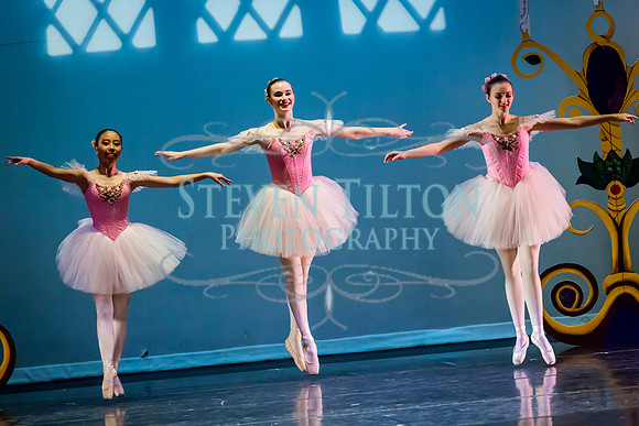 DDI Winter Gala III