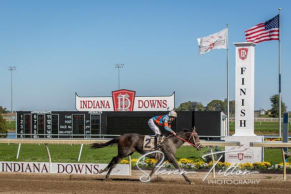 Indiana Down Horse Racing