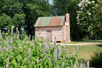 Small Cabin