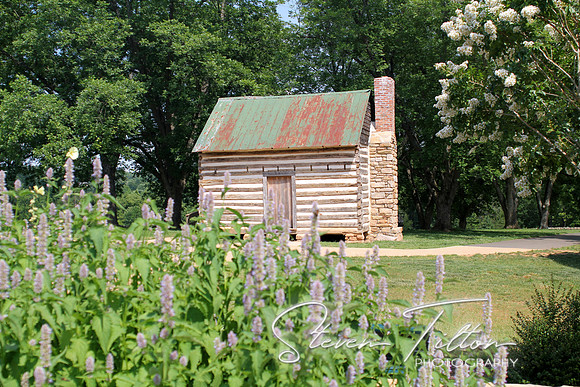 Small Cabin