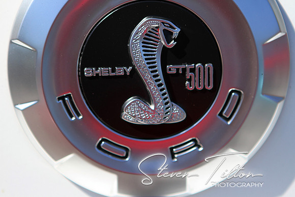 Shelby GT 500