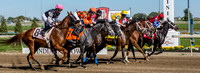 Indiana Down Horse Racing