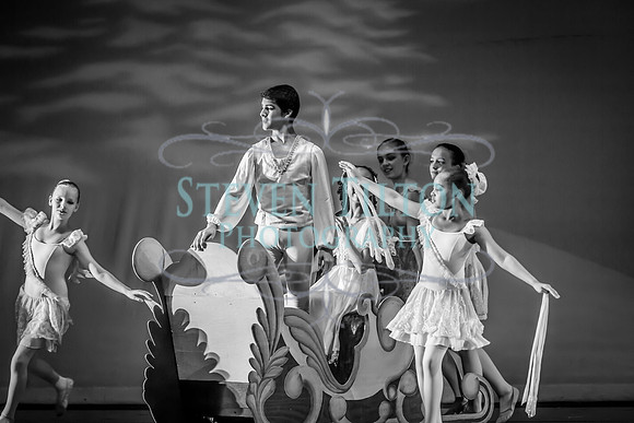 Destiny Winter Gala 2013
