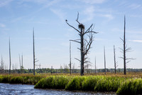 Wilmington River Cruise