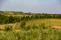 Agriturismo Il Vecchio Maneggio