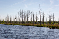 Wilmington River Cruise